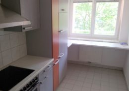 1120 Küche Balkonwohnung